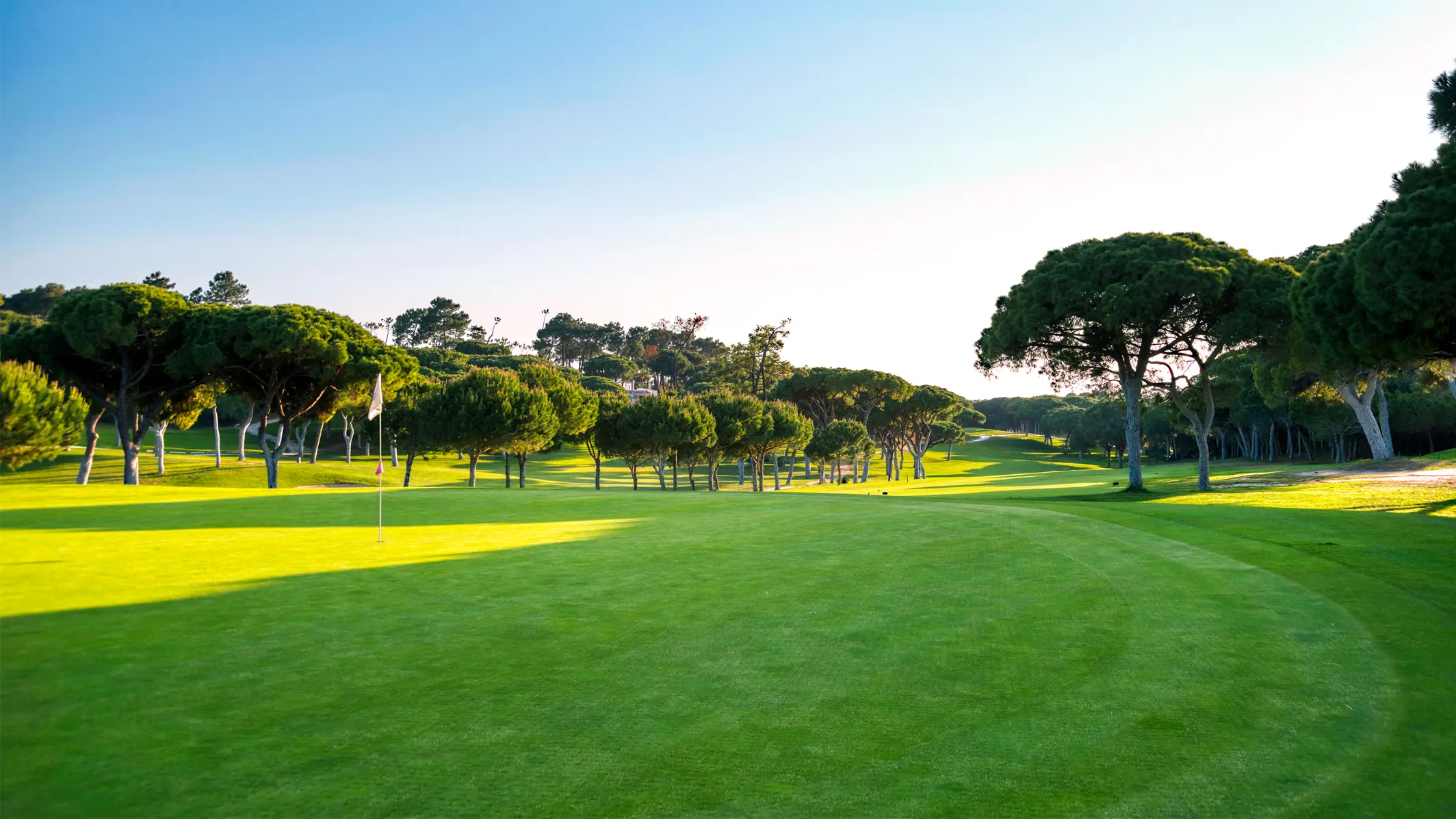 http://www.portugalgolfcourses.info/build/assets/golf-BzQm-30l.jpg